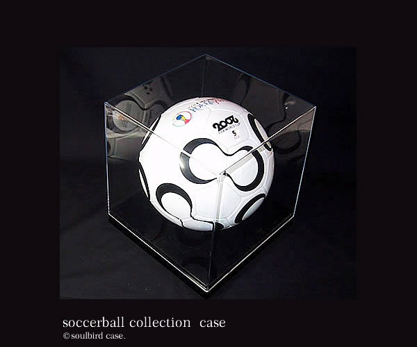 サッカーボールケース